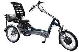 Buying Adult Tricycle