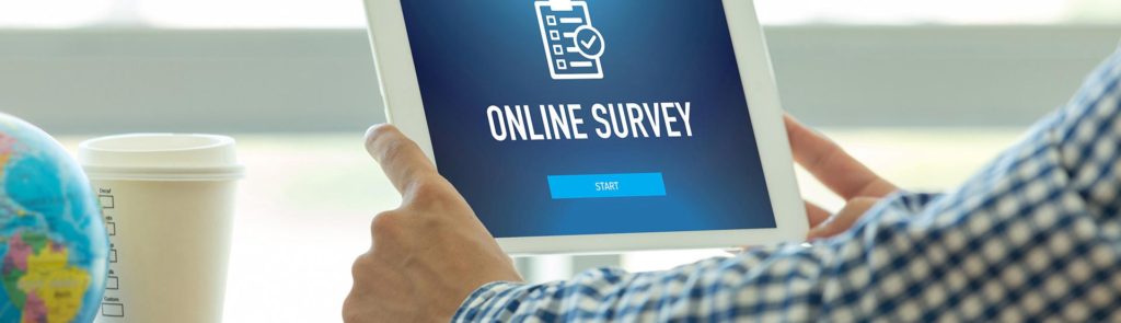 Online Survey